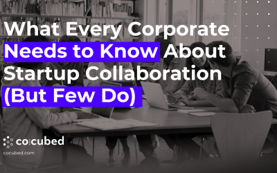 What Every Corporate Needs to Know About Startup Collaboration (But Few Do)